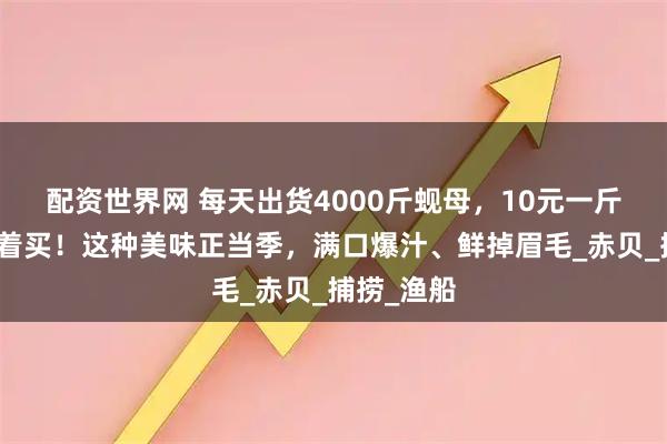 配资世界网 每天出货4000斤蚬母，10元一斤青岛人抢着买！这种美味正当季，满口爆汁、鲜掉眉毛_赤贝_捕捞_渔船