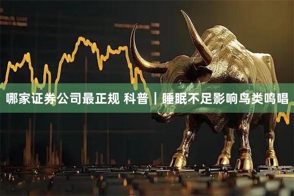 哪家证券公司最正规 科普｜睡眠不足影响鸟类鸣唱